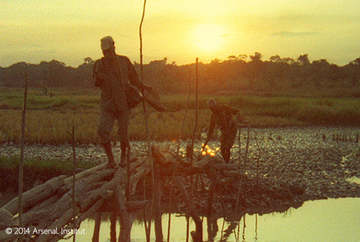 Concerning Violence