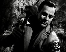 Der Fluch der gruenen Augen