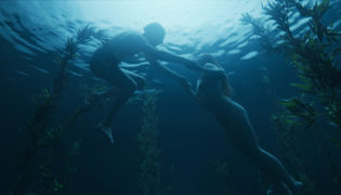 Koirat eivat käytä Housuja Dogs Dont Wear Pants