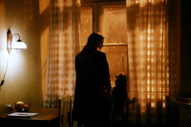 Koirat eivat käytä Housuja Dogs Dont Wear Pants