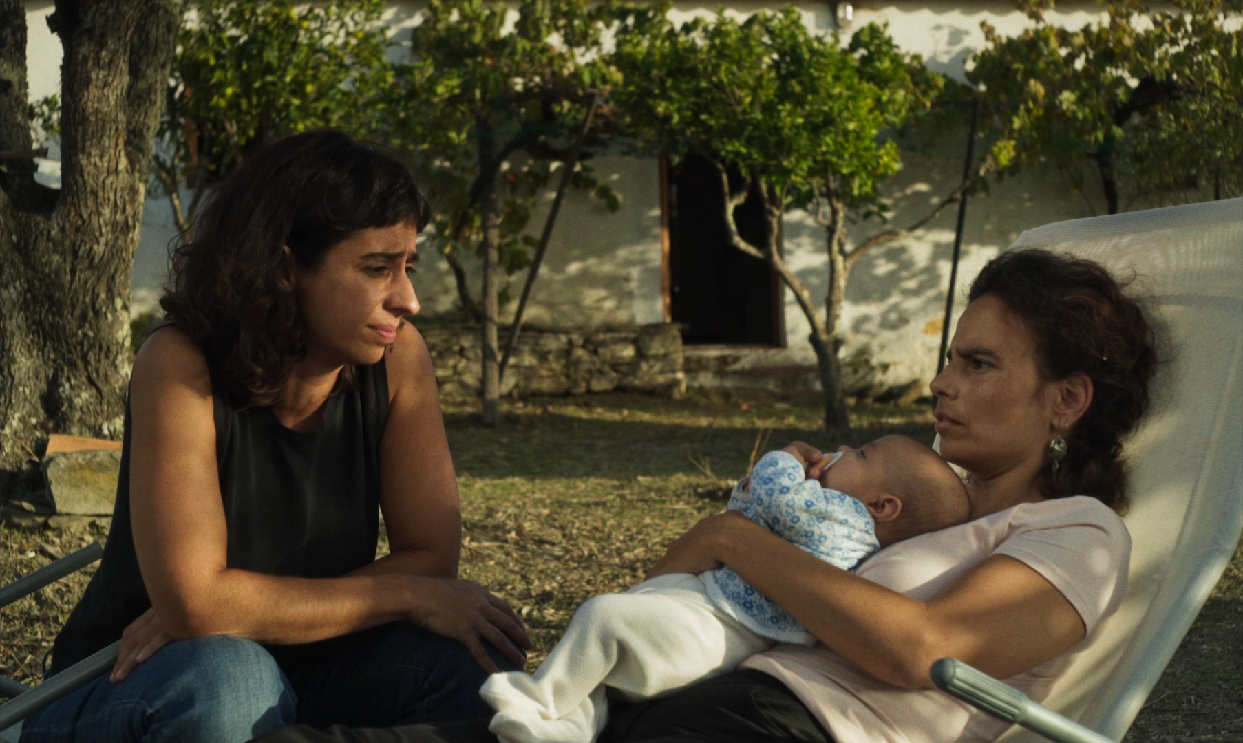 Ordinary Time Tempo Comum