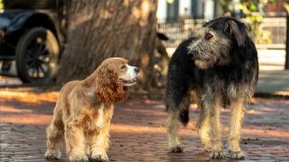 Susi und Strolch 2019 Lady and the Tramp