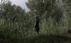 Warten auf Schwalben