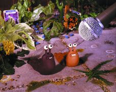 Creature Comforts Staffel 1