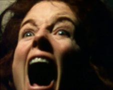 Der begehrte Junggeselle