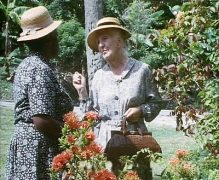 Karibische Affaere 1989