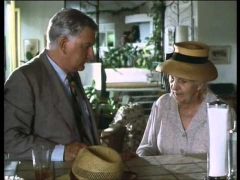 Karibische Affaere 1989