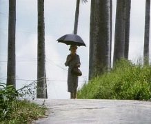 Karibische Affaere 1989