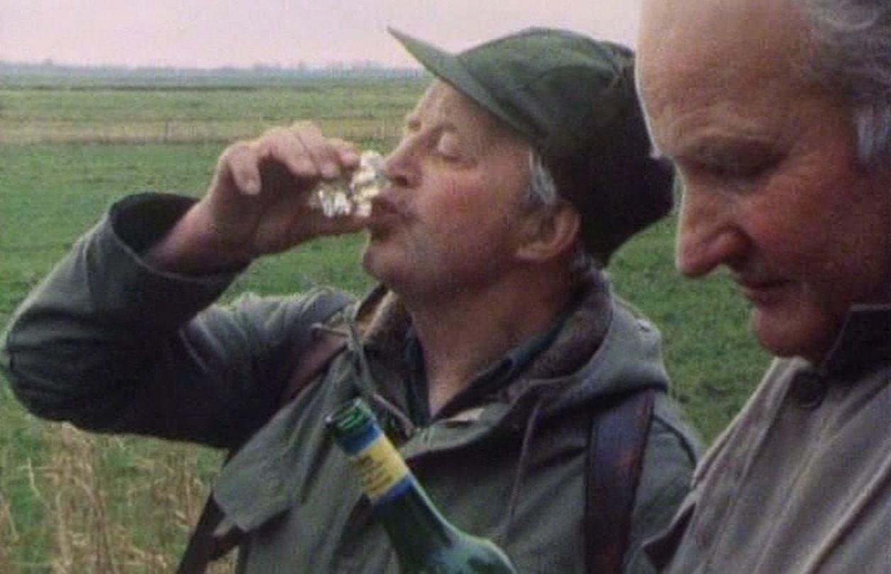 Die Verschwörungen auf die Befreiung vom Alkoholismus