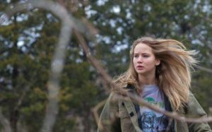 Winters Bone TV