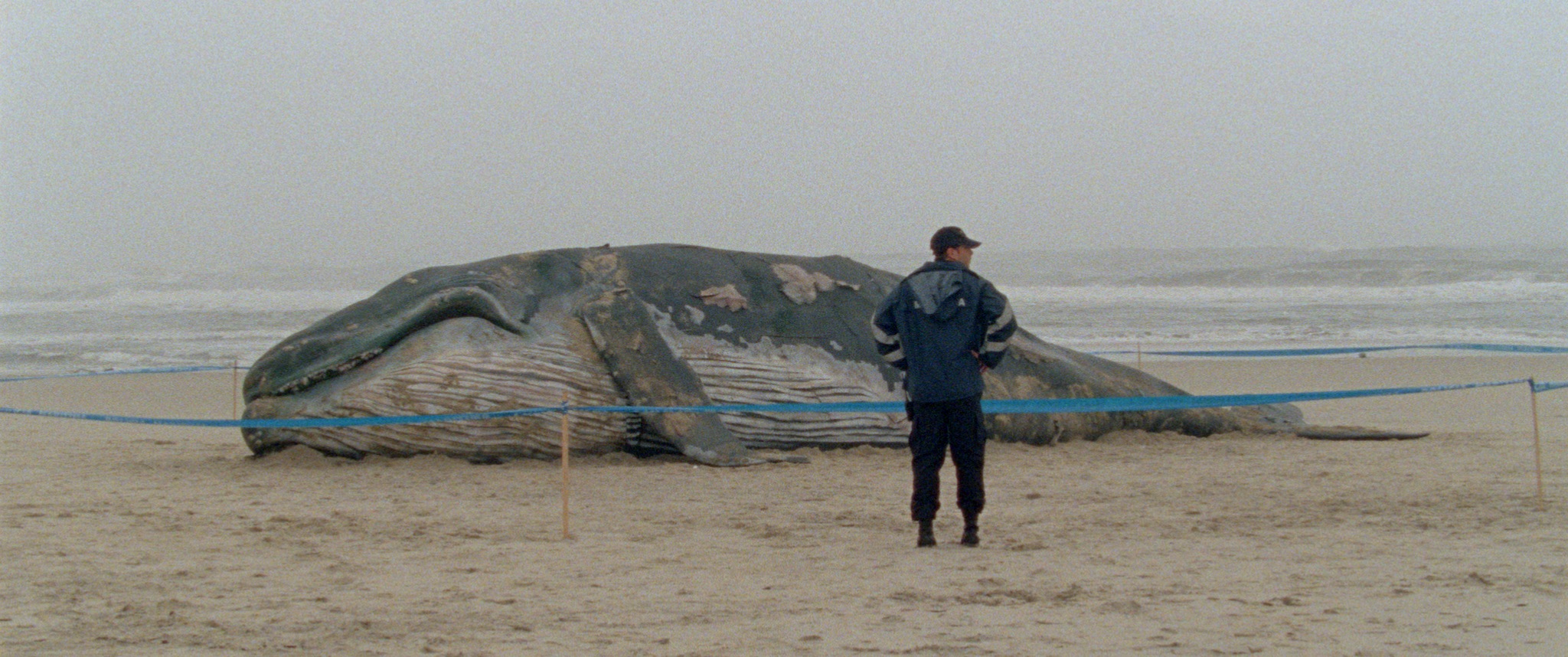 1001 Nacht Teil 1 Der Ruhelose