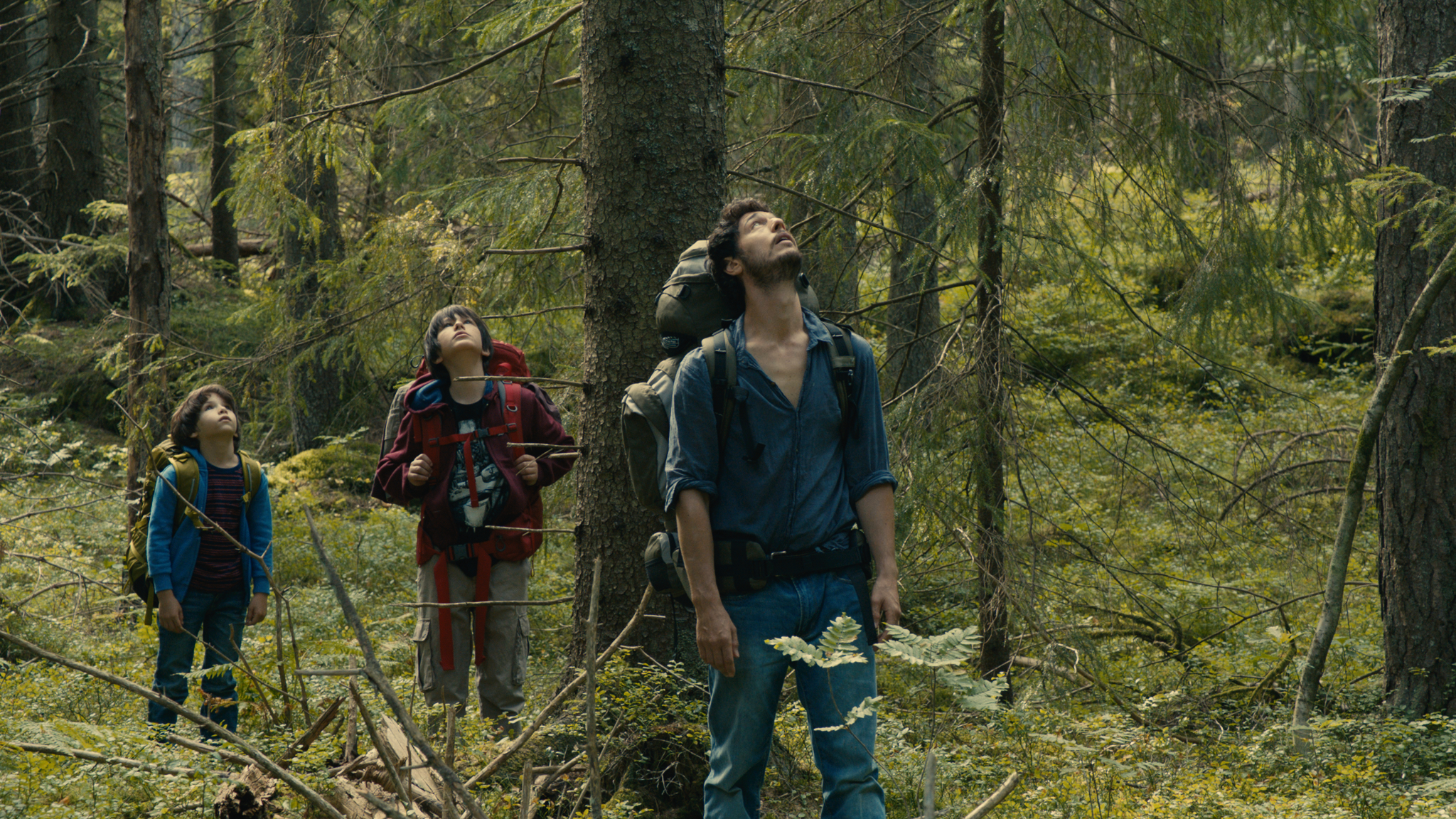 Придти в лес. Фильм dans la foret 2016. В лесу фильм \ into the Forest (2016). Фильм в лесу 2016 Франция.