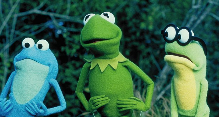 » Kermit der Frosch