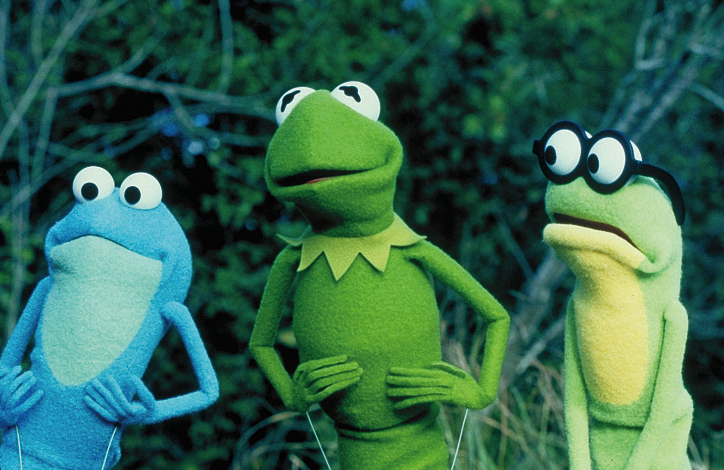 Kermit der Frosch