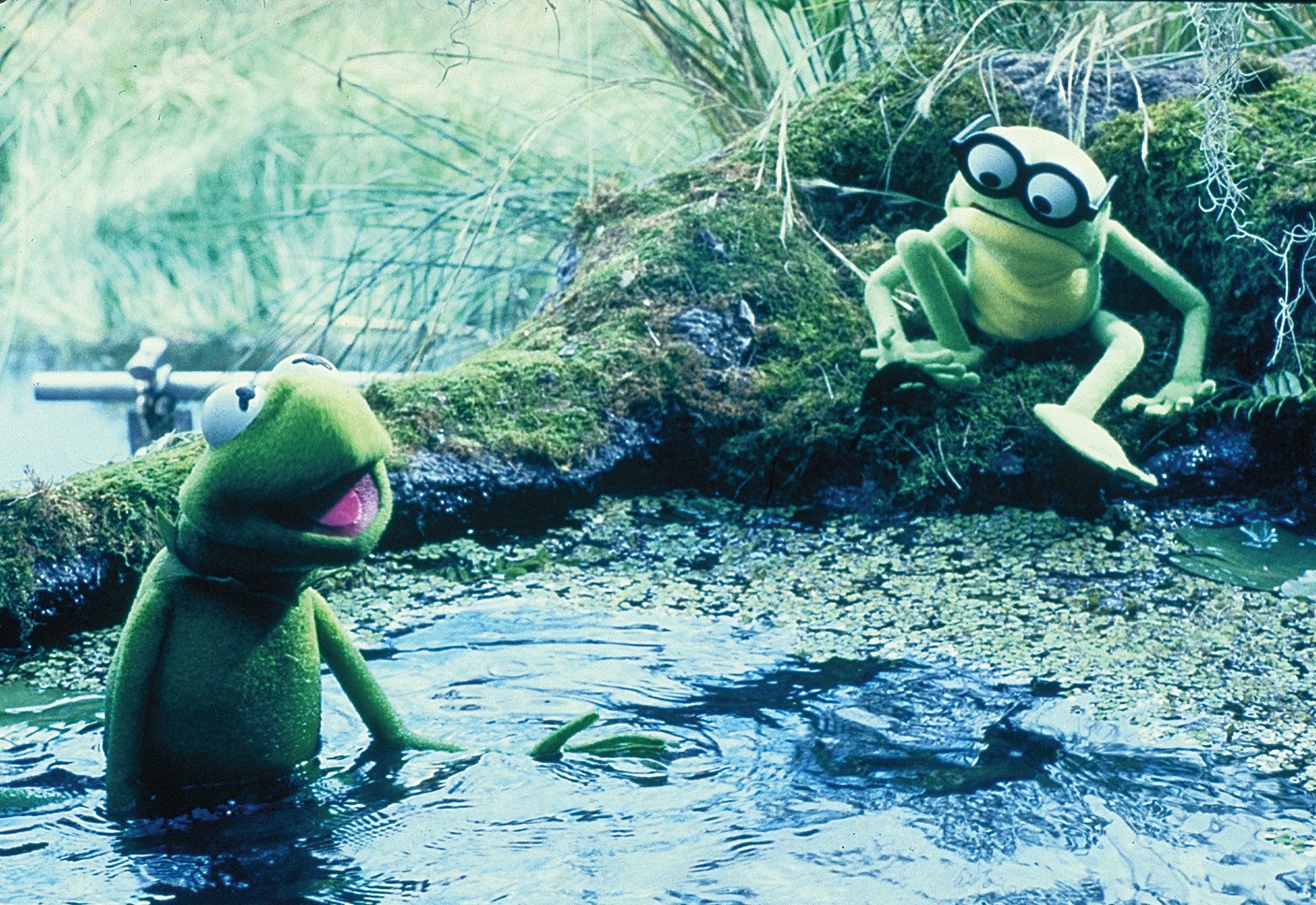 Kermit der Frosch Szene 1 | Film-Rezensionen.de