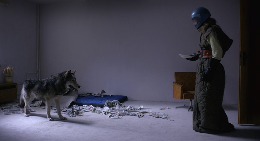 Wild FilmRezensionen.de