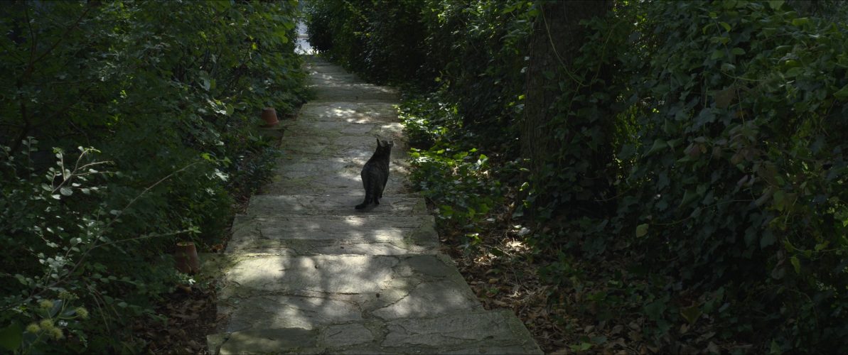 katerszene6 FilmRezensionen.de katerszene6 FilmRezensionen.de