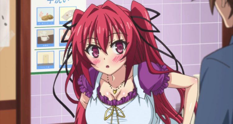 The Testament of Sister New Devil | Film-Rezensionen.de