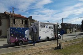 Citizen Animal (2017)