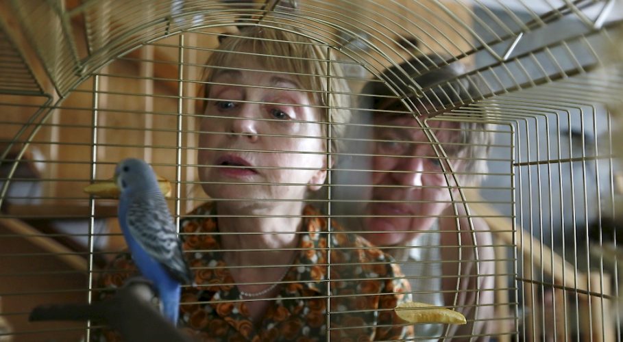 Familie Lotzmann auf den Barrikaden FilmRezensionen.de Familie Lotzmann auf den Barrikaden FilmRezensionen.de