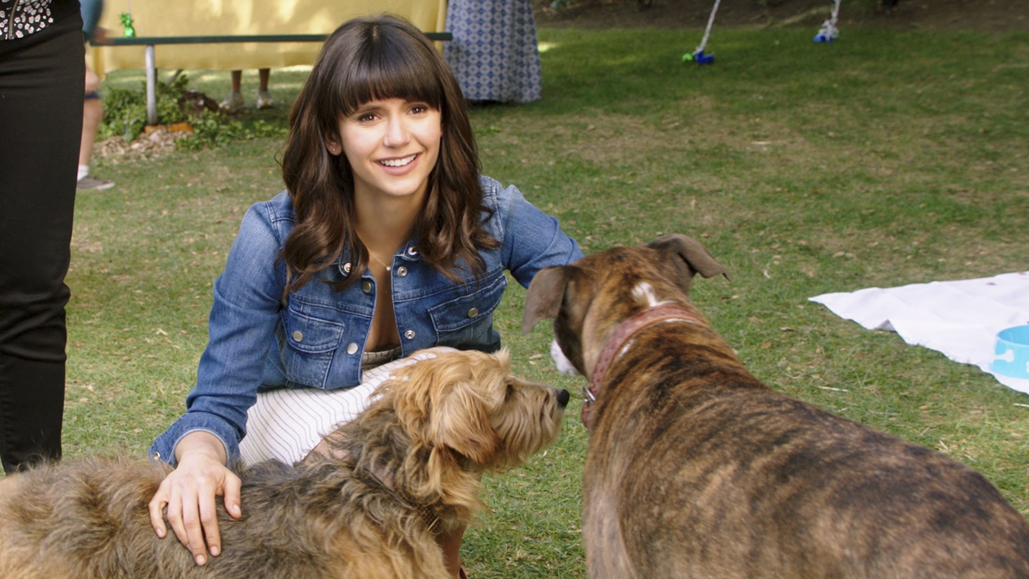 Dog Days FilmRezensionen.de