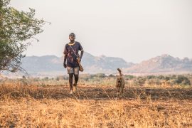 Der Junge der den Wind einfing The Boy Who Harnessed the Wind Netflix