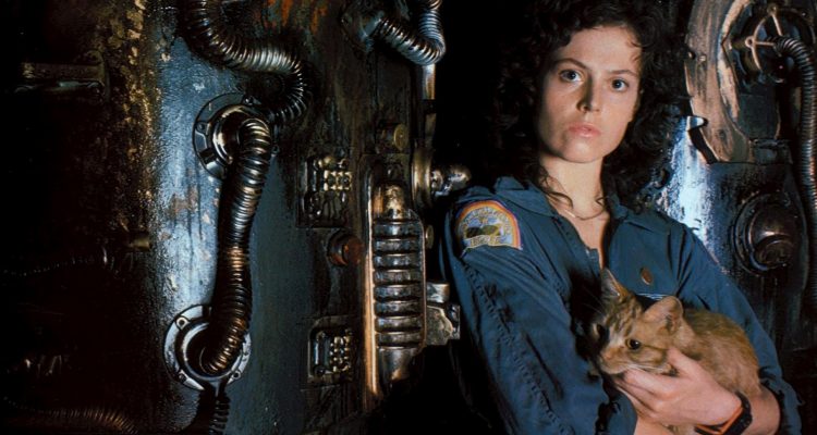 Alien Das Unheimliche Wesen Aus Einer Fremden Welt Film Rezensionen De