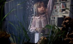 Der siebente Kontinent