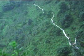 Family in the Sinkhole