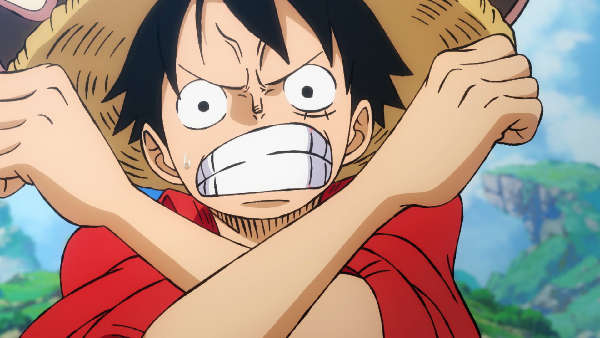 One Piece 13 Stampede