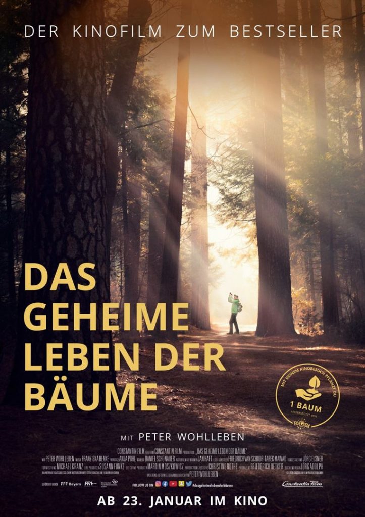 Das Geheime Leben Der Bäume Netflix