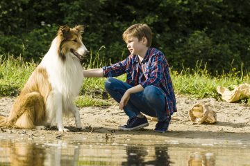 Lassie Eine abenteuerliche Reise