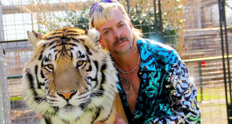 Großkatzen und ihre Raubtiere Tiger King Netflix