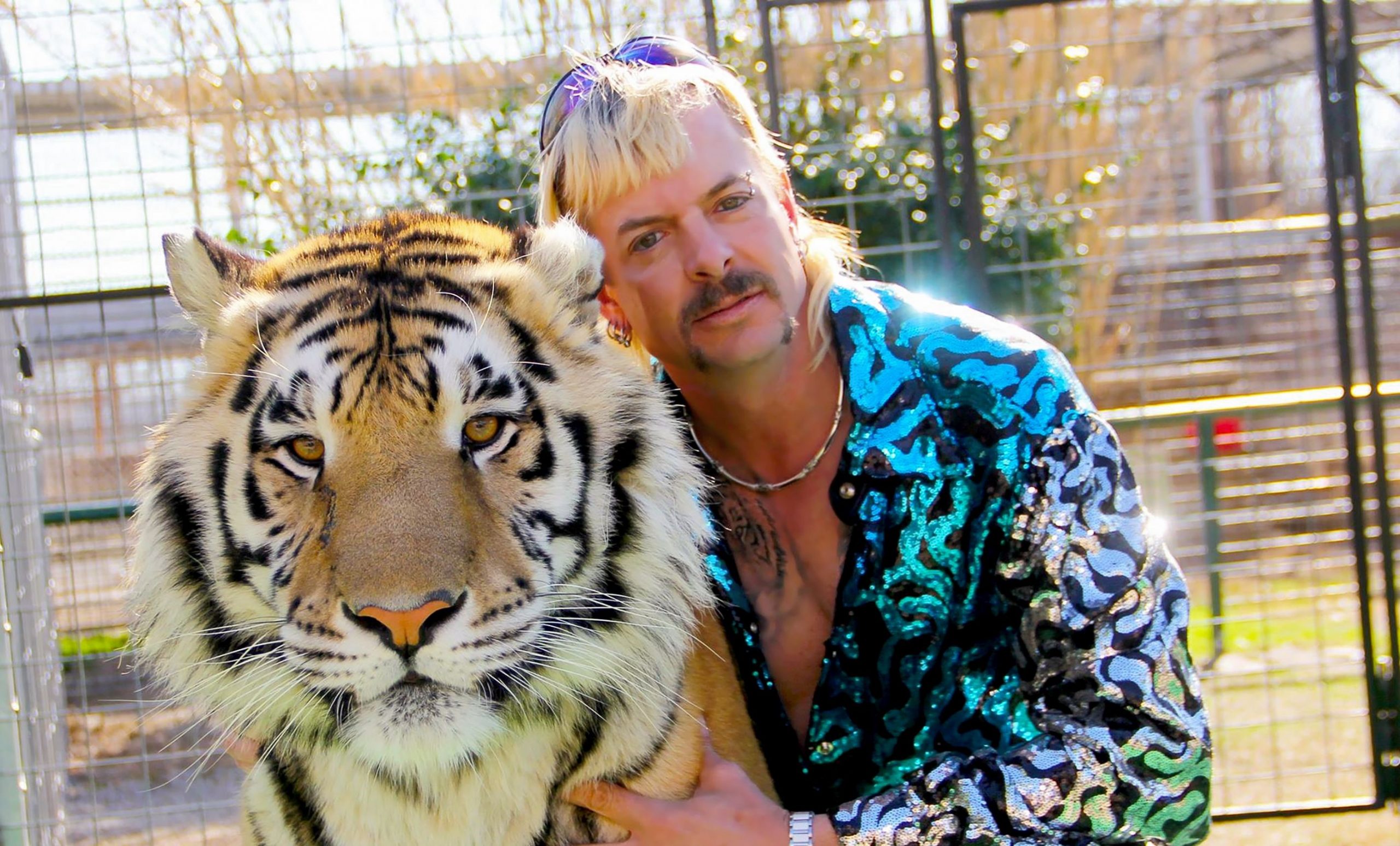 Großkatzen und ihre Raubtiere Tiger King Netflix