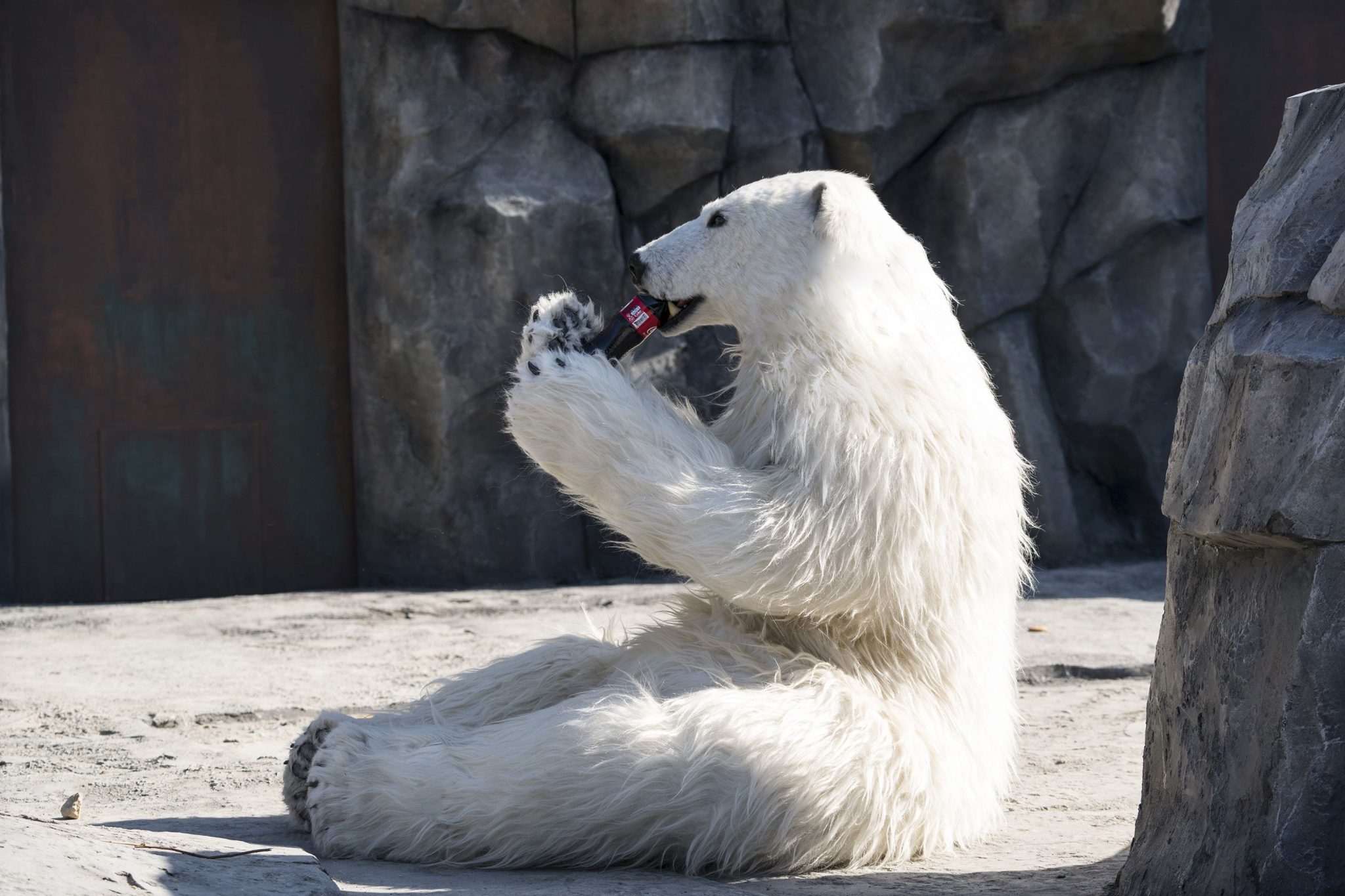 Rettet den Zoo Szene 8 FilmRezensionen.de Rettet den Zoo Szene 8 FilmRezensionen.de