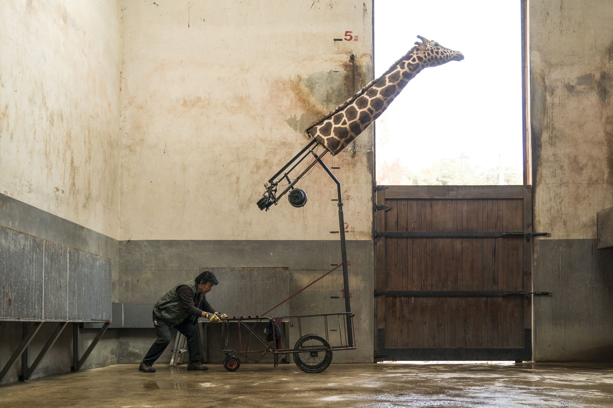 Rettet den Zoo Szene 9 FilmRezensionen.de Rettet den Zoo Szene 9 FilmRezensionen.de