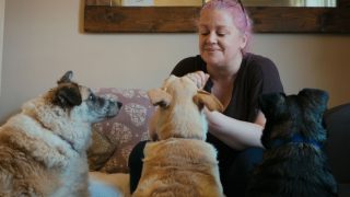 Cody - Wie ein Hund die Welt verändert