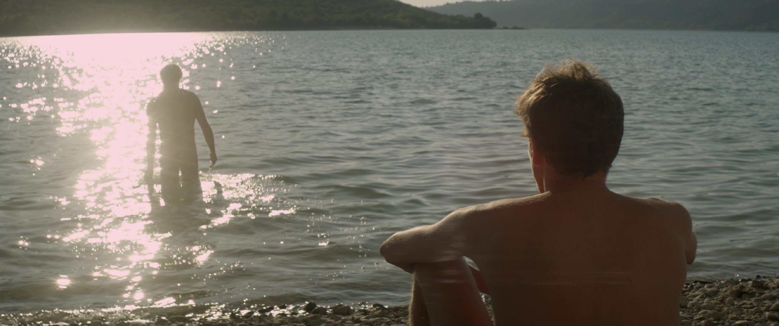 Der Fremde am See L’inconnu du lac Stranger by the Lake