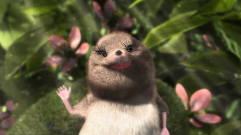 Our Wonderful Nature