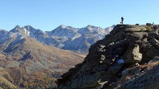 Die Rückkehr der Wölfe