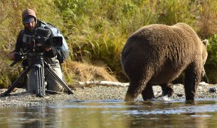 Der Bär in mir