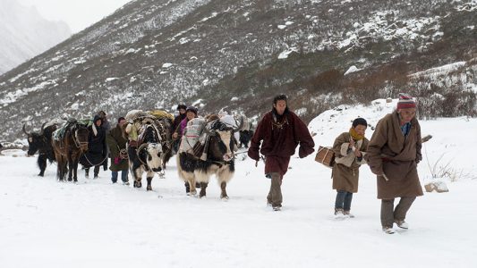 Der junge Sangye Young