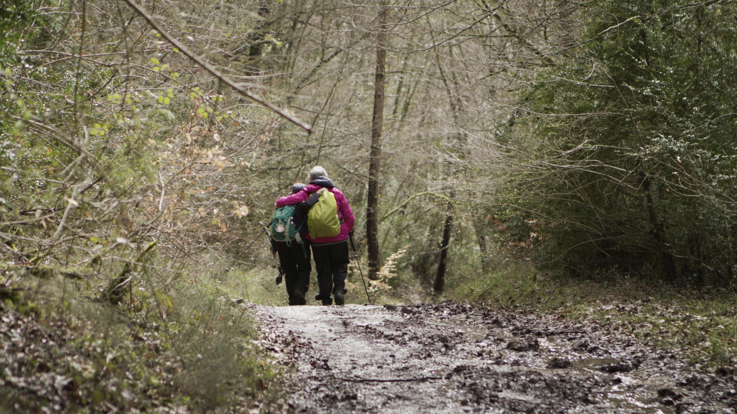 Himmel über dem Camino – Der Jakobsweg ist Leben!“