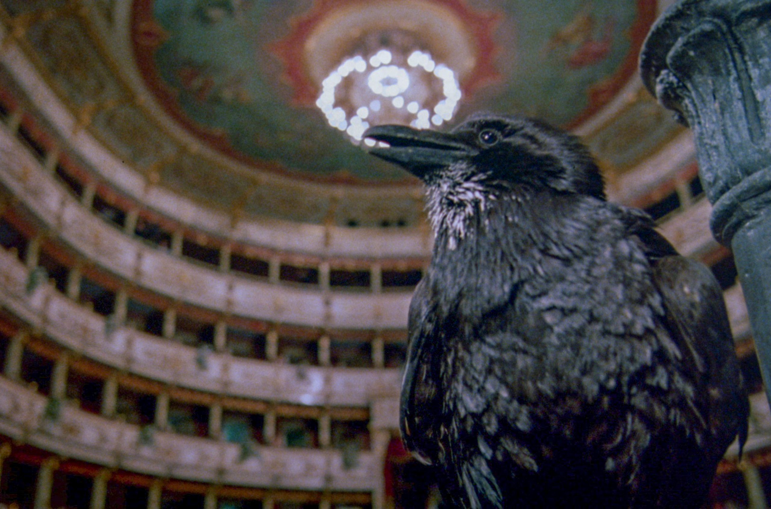 Terror in der Oper Opera Dario Argento