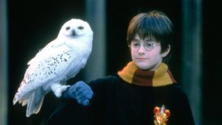 Harry Potter und der Stein der Weisen Philosopher
