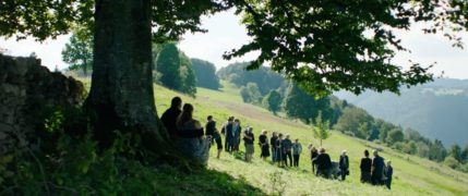 Von Fischen und Menschen