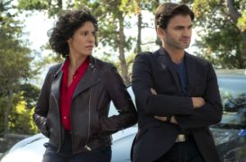 Der Kroatien-Krimi: Die Patin von Privonice