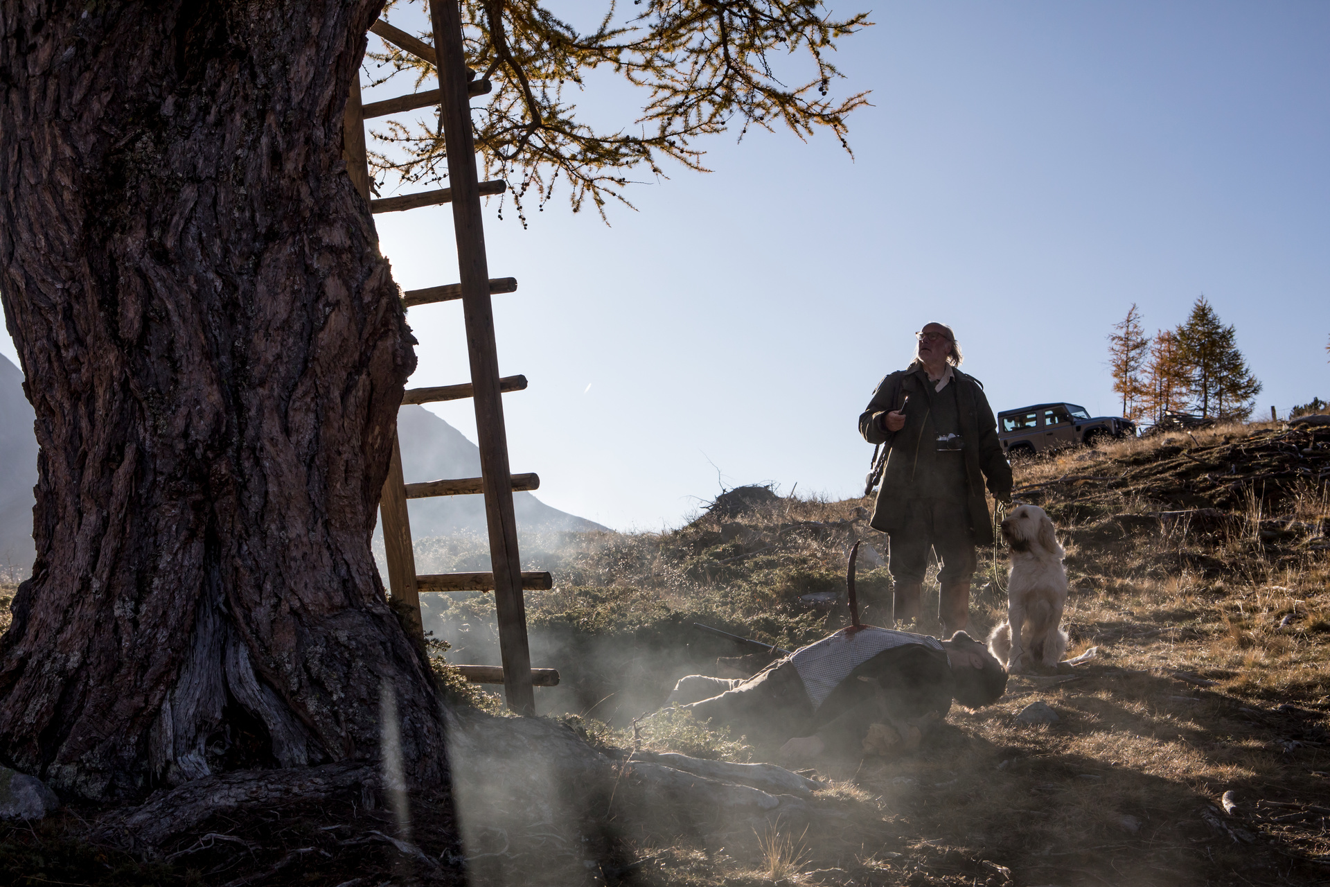 Landkrimi: Waidmannsdank