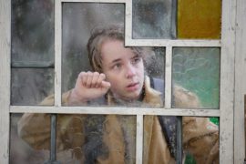 The Butterfly Tree Die Sinnlichkeit Des Schmetterlings