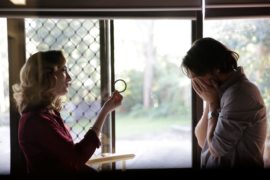 The Butterfly Tree Die Sinnlichkeit Des Schmetterlings